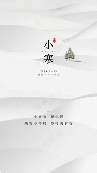 白色简约高级小寒节气海报