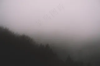 云雾森林图片