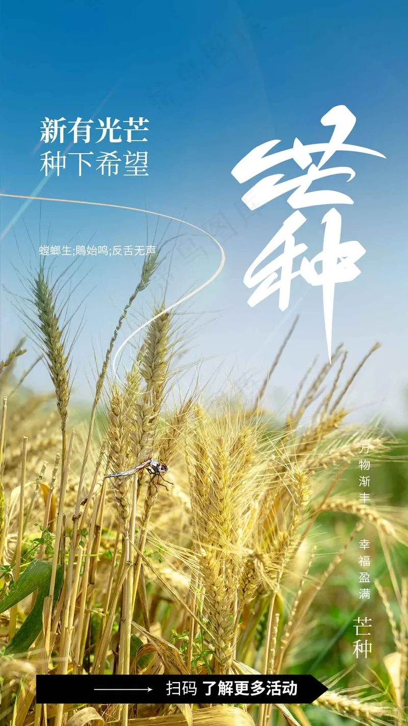 芒种节气传统活动海报psd模版下载