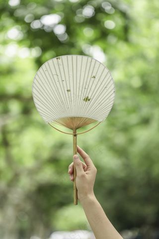 夏季薄扇生活背景