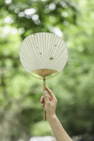 夏季薄扇生活背景