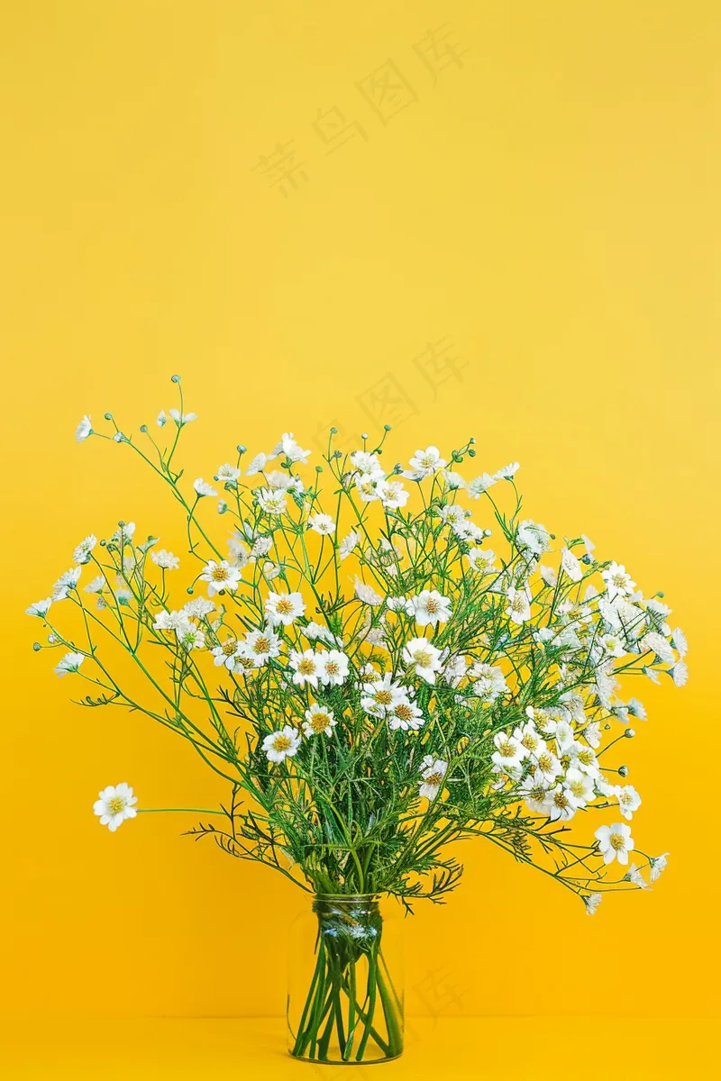小雏菊白色花朵花瓶黄色背景摄影图(2688x4032)