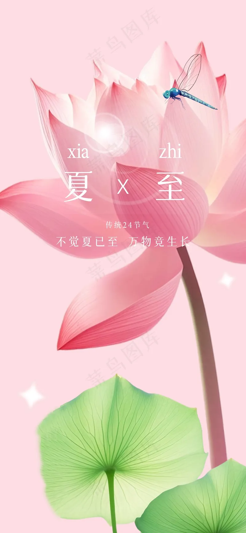 夏至节气传统活动海报psd模版下载