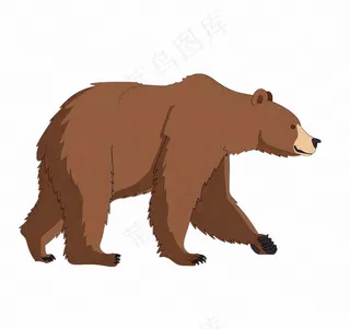 棕熊大熊动物卡通插画免抠