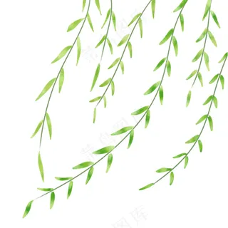 柳树条 春天元素 清明植物元素 树枝装饰