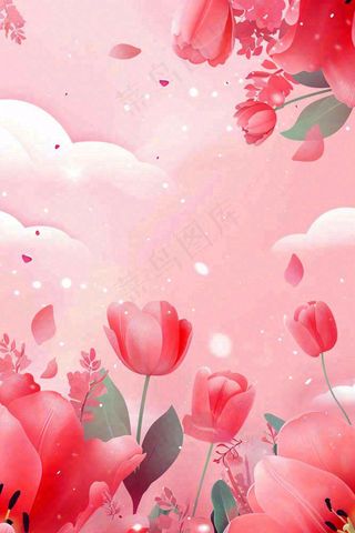 红色郁金香粉色背景浪漫七夕情人节插画背景