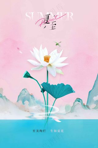 夏至节气传统活动海报