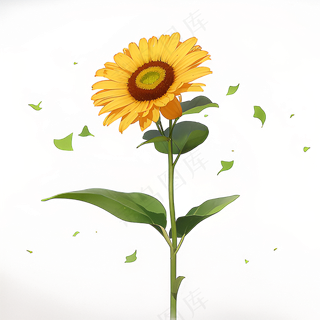 黄色向日葵免抠素材54