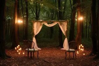 户外婚礼森林夜晚森系摄影图