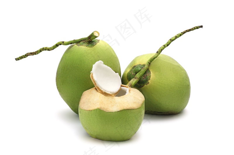 椰子 (13)白底图