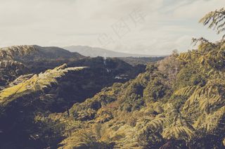 湖泊山峰图片
