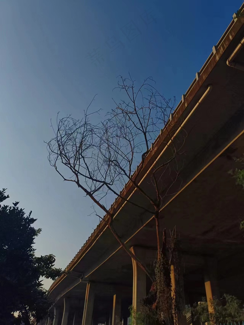 秋天的天空
