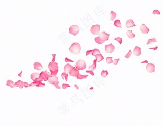 粉色花瓣飘落免抠