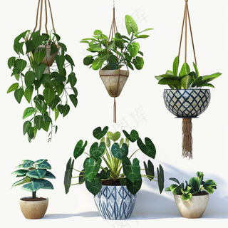室内盆栽绿植装饰品类摄影图