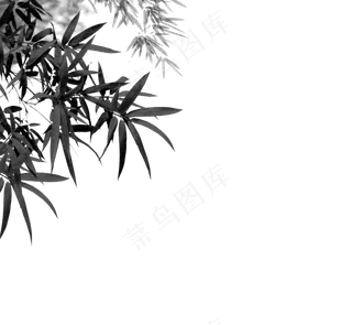 中国风水墨竹子图片古风竹叶竹林水彩手绘插画PNG免扣设计