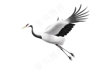 仙鹤国风插画免抠