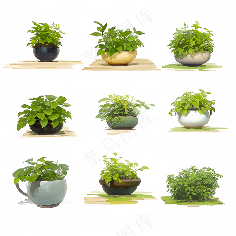 绿色手绘小植物花草系列免抠素材60