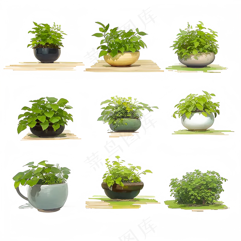 绿色手绘小植物花草系列免抠素材60