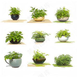 绿色手绘小植物花草系列免抠素材60