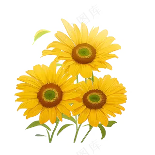 黄色向日葵花朵免抠素材9