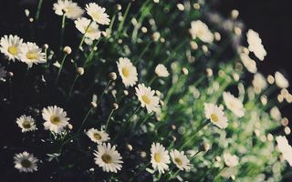 经典风景美图 (23)