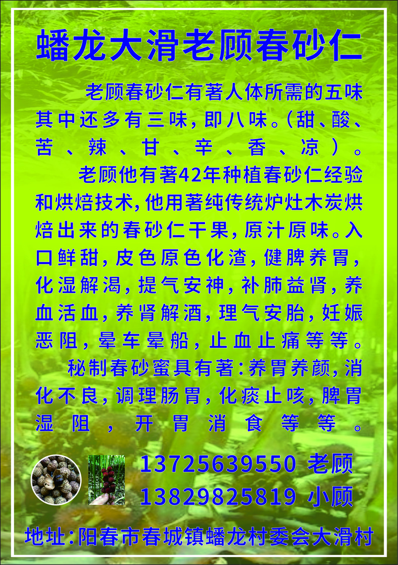 蟠龙春砂仁cdr矢量模版下载