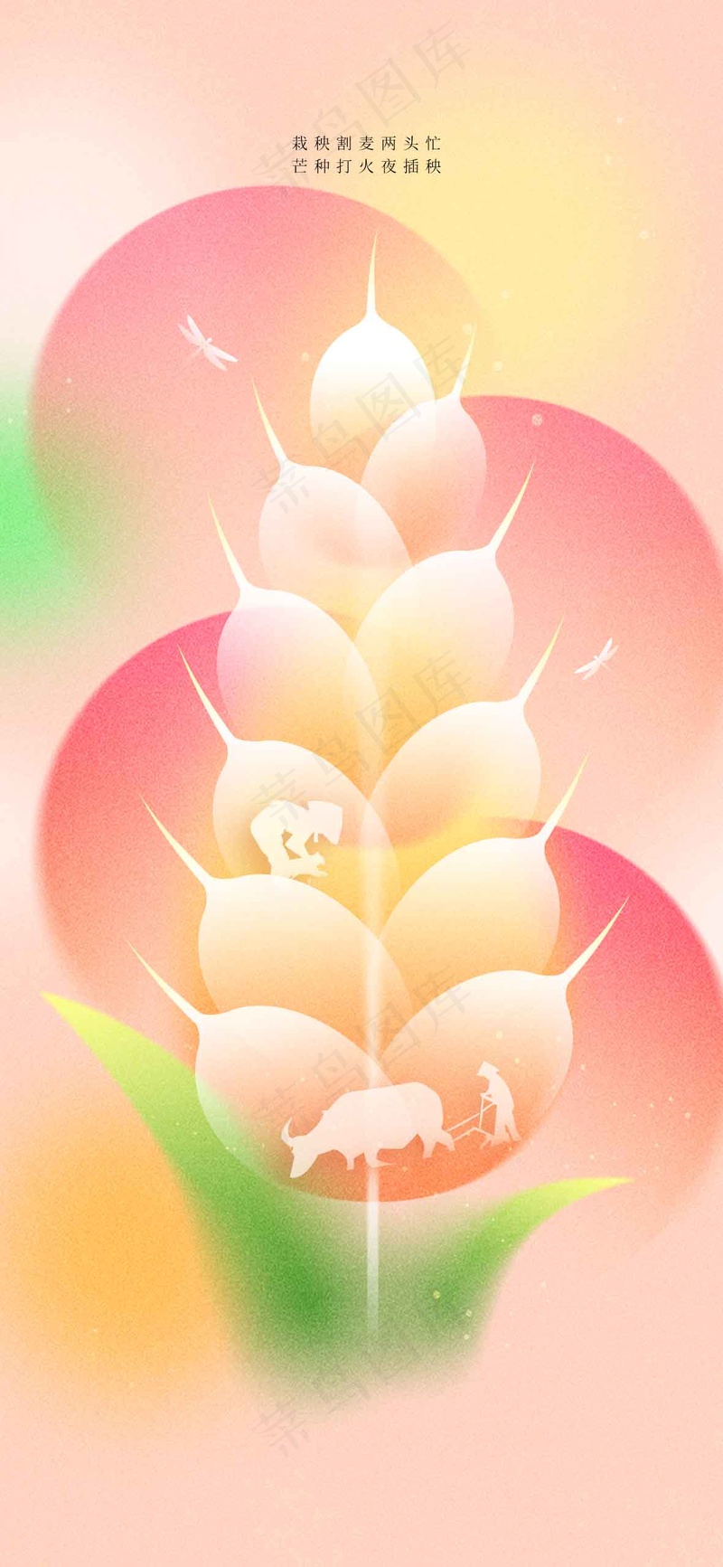 芒种节气传统活动海报psd模版下载
