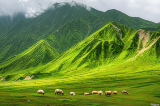 春天高原草地草地牛羊摄影图