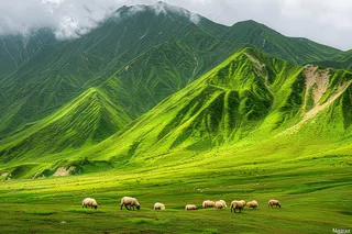 春天高原草地草地牛羊摄影图