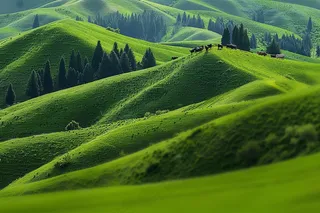 春天草甸山峦树木草地摄影图