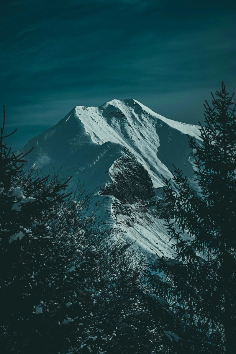 冰雪覆盖的山脉与针叶林