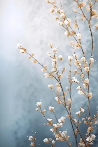 渐变冬天枝叶雪背景