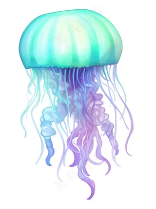 水母海洋海鲜蓝紫色梦幻卡通插画免抠