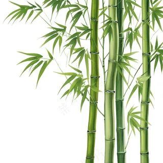 竹子竹叶竹林绿色卡通插画免抠