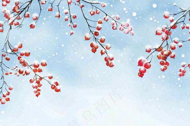 冬天白雪覆盖的红色果实白霜霜降小雪大雪水彩插画背景(1344x896)