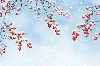 冬天白雪覆盖的红色果实白霜霜降小雪大雪水彩插画背景