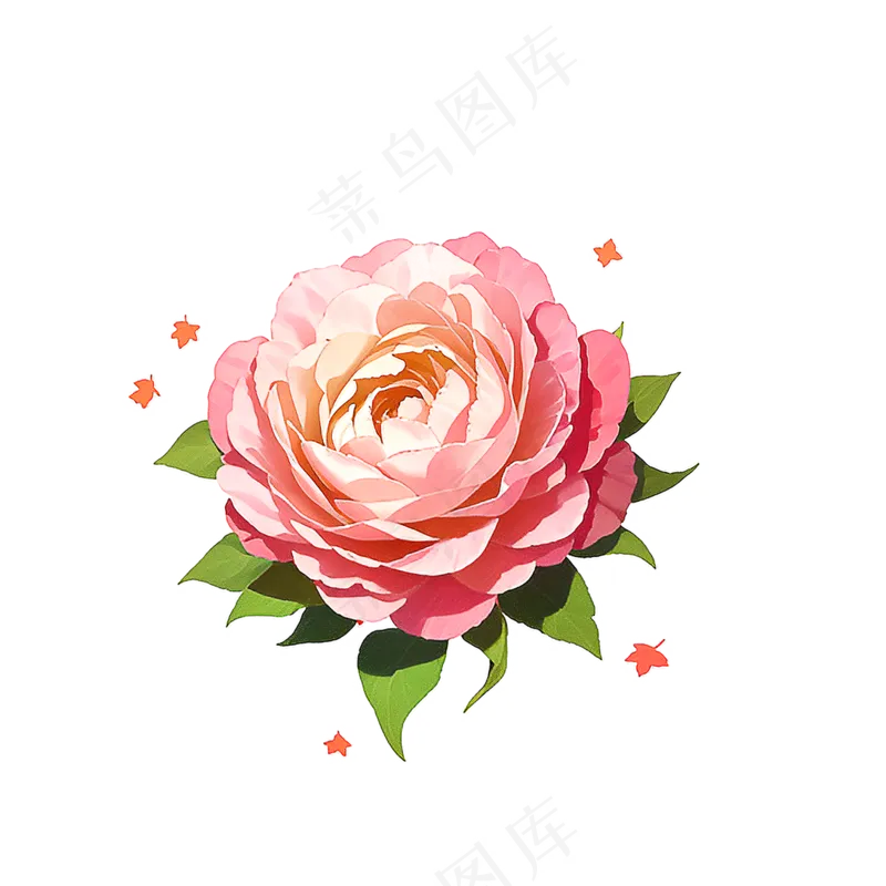 粉色花朵桃花玫瑰免抠素材12