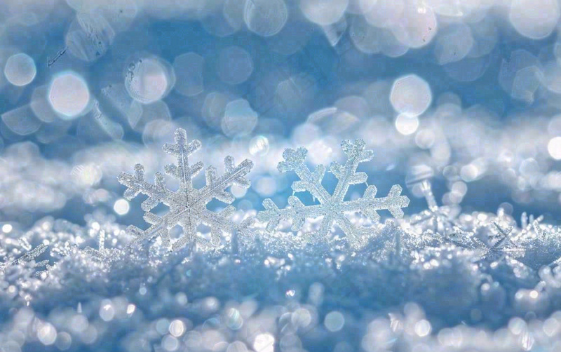 冬天雪花闪耀素材唯美立冬冬至小雪大雪摄影图(1376x864)
