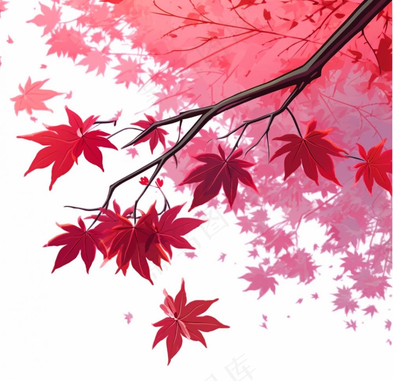 秋天红色枫叶树枝卡通插画背景(1056x1024)