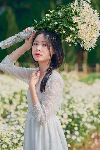 花园女生拿菊花花朵3