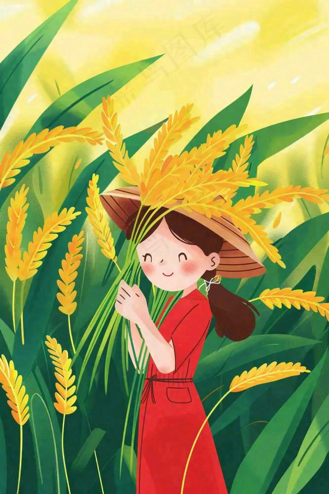 丰收季女孩抱着麦穗金黄的小麦稻穗农田芒种小满秋分立秋卡通插画背景(896x1344)