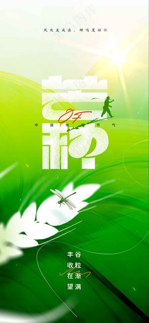 芒种节气传统活动海报
