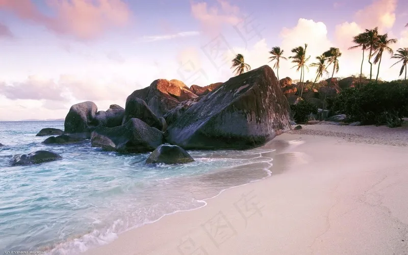 自然大海椰树背景