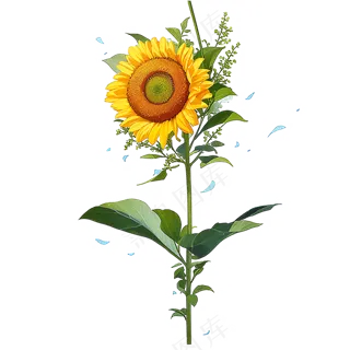 黄色向日葵免抠素材118