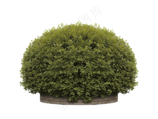 免抠圆形花坛灌木