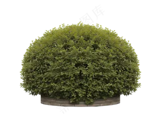 免抠圆形花坛灌木