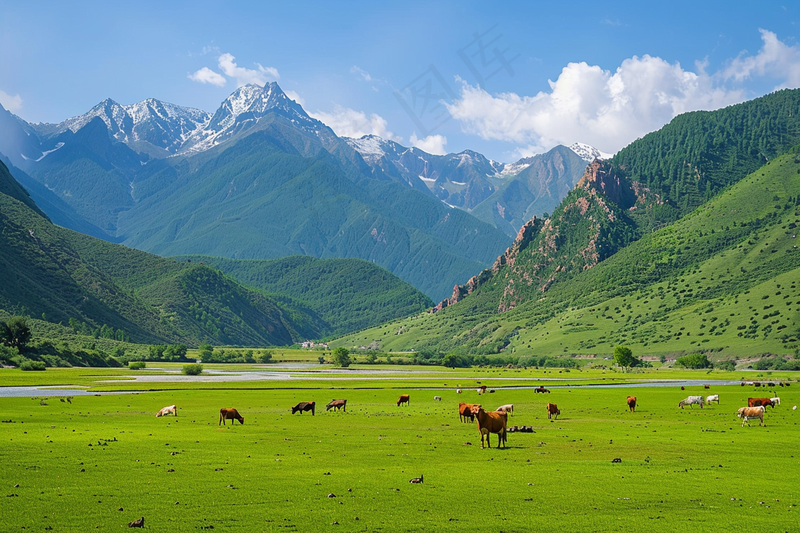 a herd of cattle grazing on a lush green field, a picture by Li Keran, shutterstock, dau-al-set, the see horse valley, grass mountain landscape, very beautiful scenery 