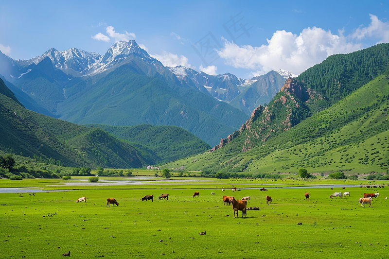 a herd of cattle grazing on a lush green field, a picture by Li Keran, shutterstock, dau-al-set, the see horse valley, grass mountain landscape, very beautiful scenery (4032x2688)