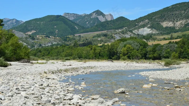 静谧山谷中的蜿蜒溪流