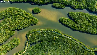 航拍满是绿色的大河中的岛屿